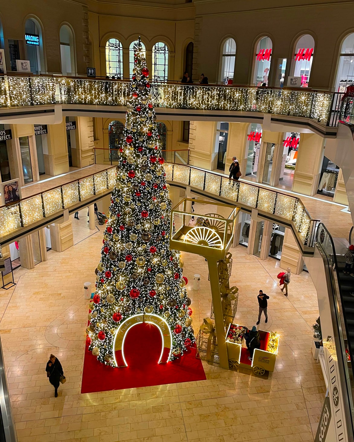 EUROPAGalerie,Saarbrücken_Gigantbaum von oben-min